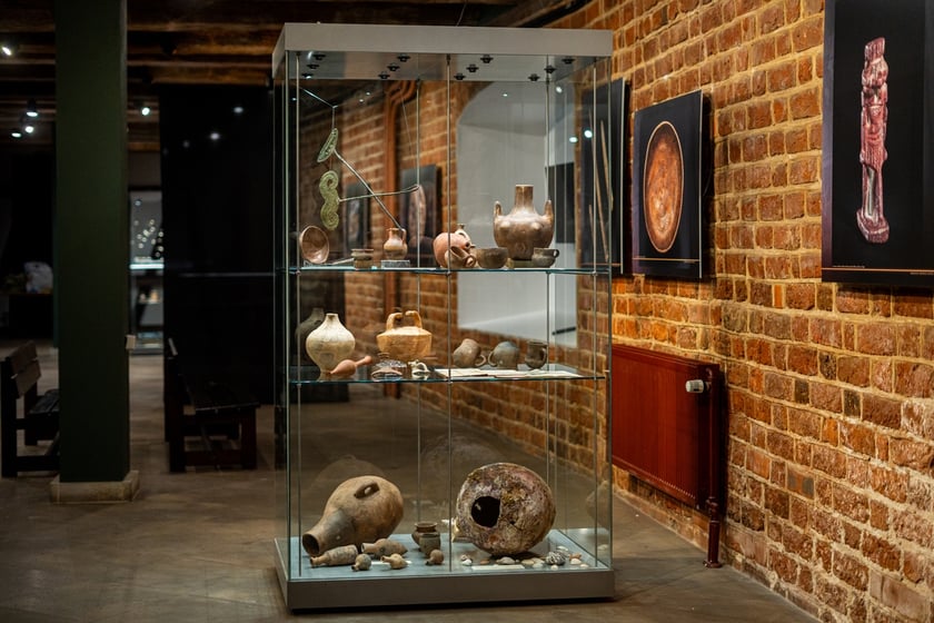 Wystawa Artificalia, naturalia, exotica w Muzeum Archeologicznym we Wrocławiu